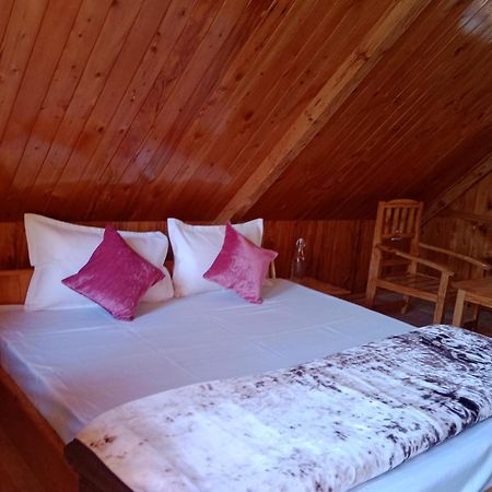 Forest View Cottage Jibhi Luaran gambar