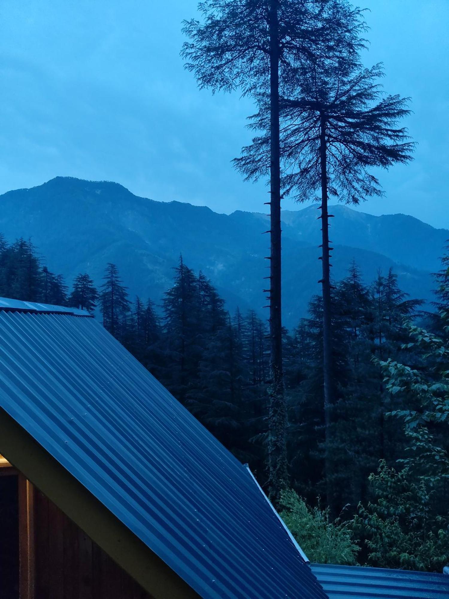 Forest View Cottage Jibhi Luaran gambar