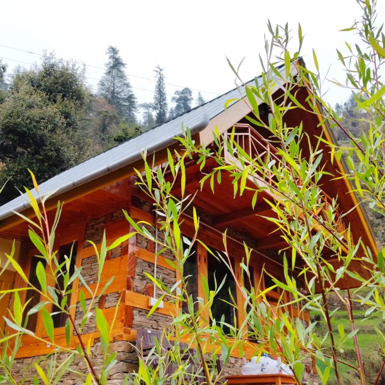 Forest View Cottage Jibhi Luaran gambar