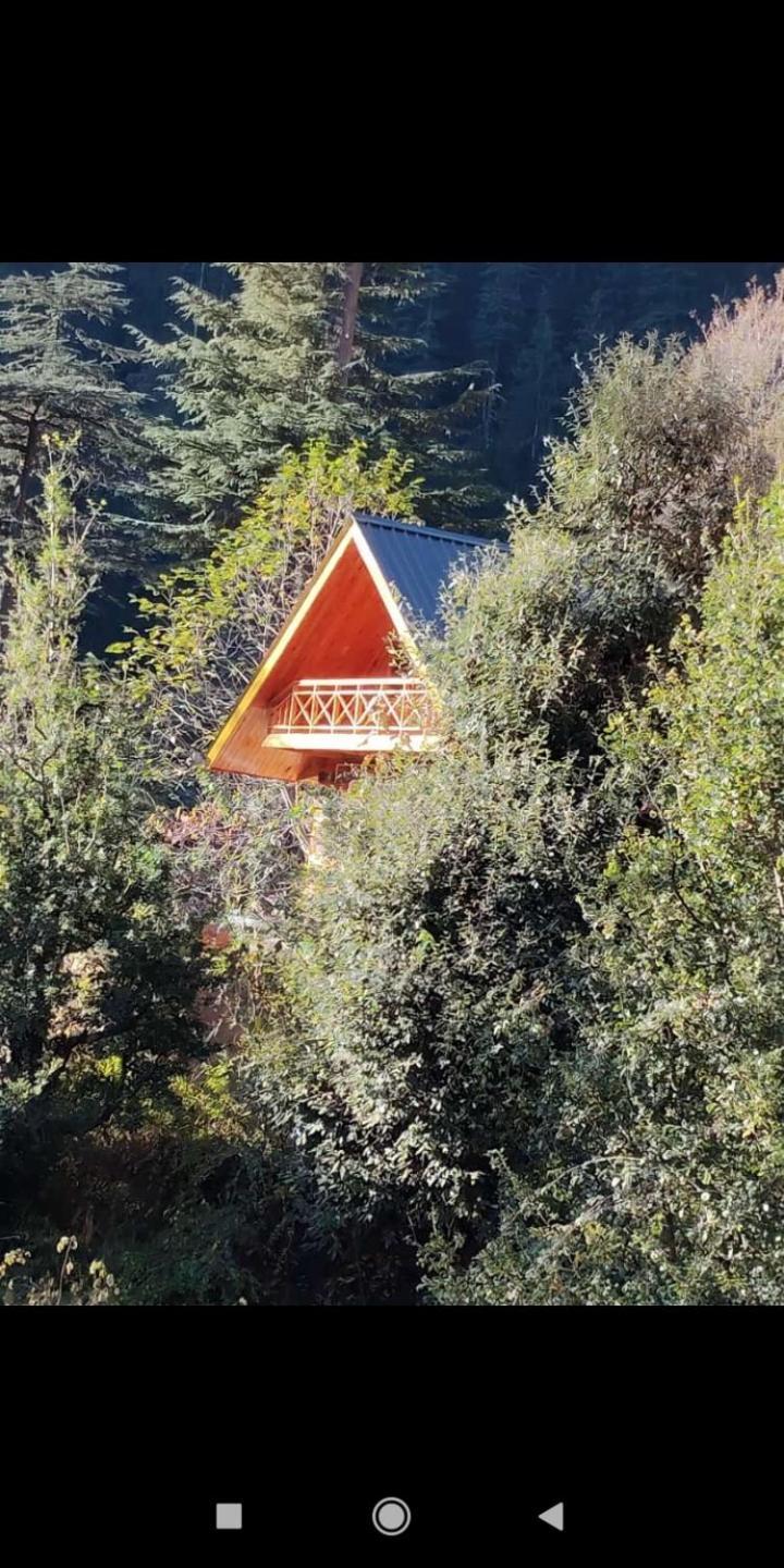 Forest View Cottage Jibhi Luaran gambar
