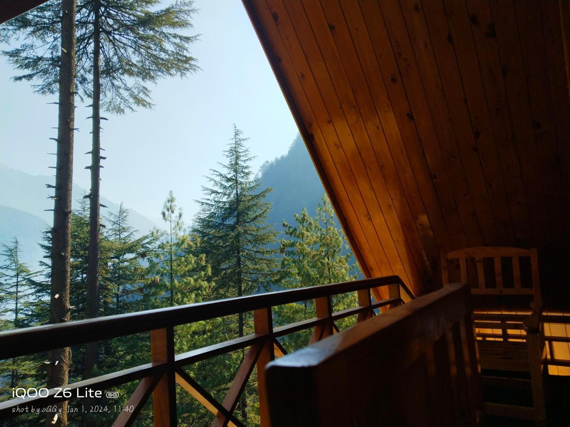 Forest View Cottage Jibhi Luaran gambar